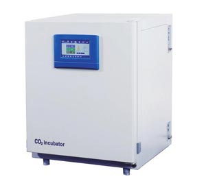 �Ϻ�һ�������̼���B(y��ng)��(�|����)�� �ߙn��BPN-240RHP